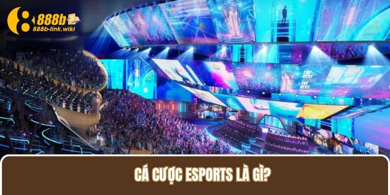 Cá cược Esports là gì?