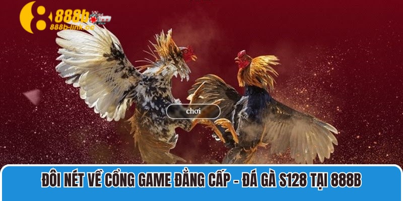 Đôi nét về cổng game đẳng cấp - Đá gà S128 tại 888B