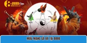 Màu mạng gà đá tại 888B