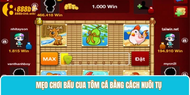 Mẹo chơi bầu cua tôm cá bằng cách nuôi tụ