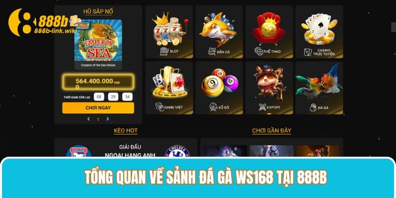 Tổng quan về sảnh Đá gà WS168 tại 888B