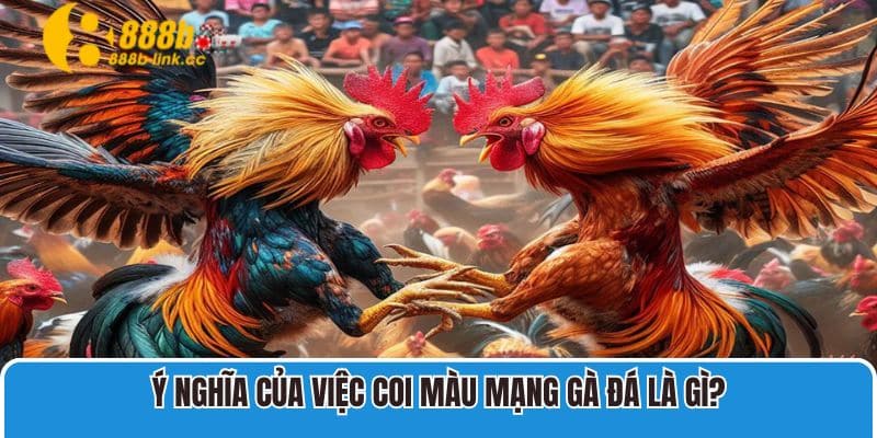 Ý nghĩa của việc coi màu mạng gà đá là gì?